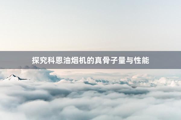 探究科恩油烟机的真骨子量与性能
